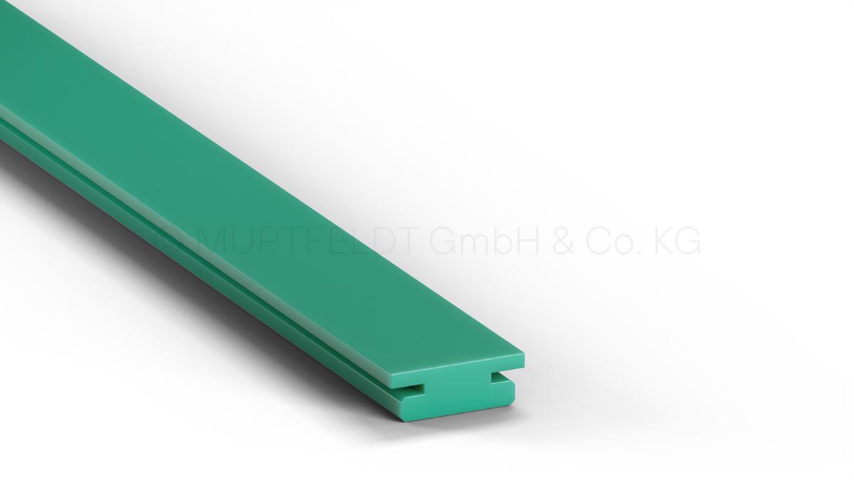 MUR_ren Gleitführungen Typ CF 211020006.png